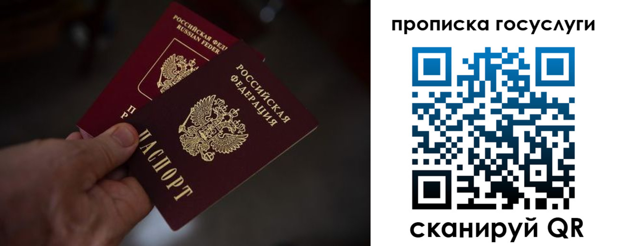 прописка ребенка в Мурманской области